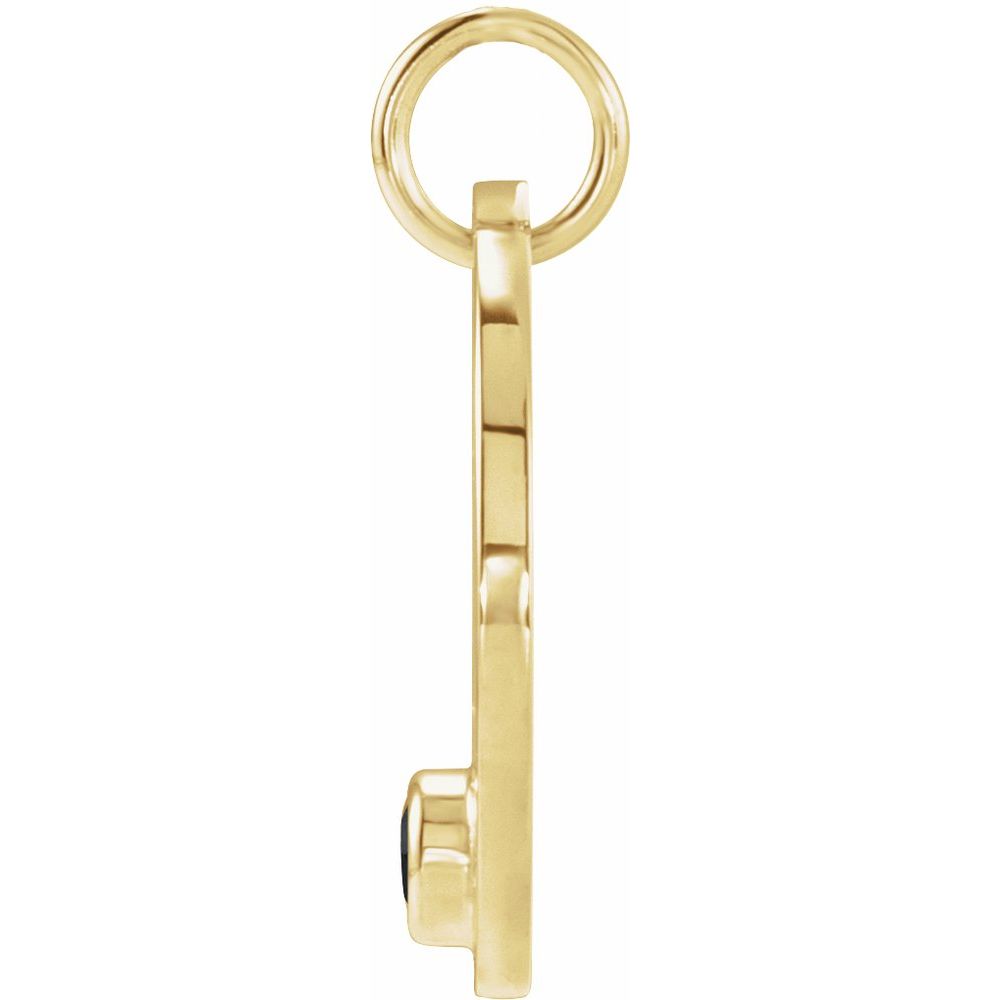 Aquarius Zodiac Disc Necklace with Natural Black Spinel in 14K Gold