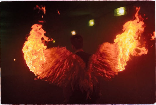 Dramatic angelic wings engulfed in golden flames against a dark background, editorial photography