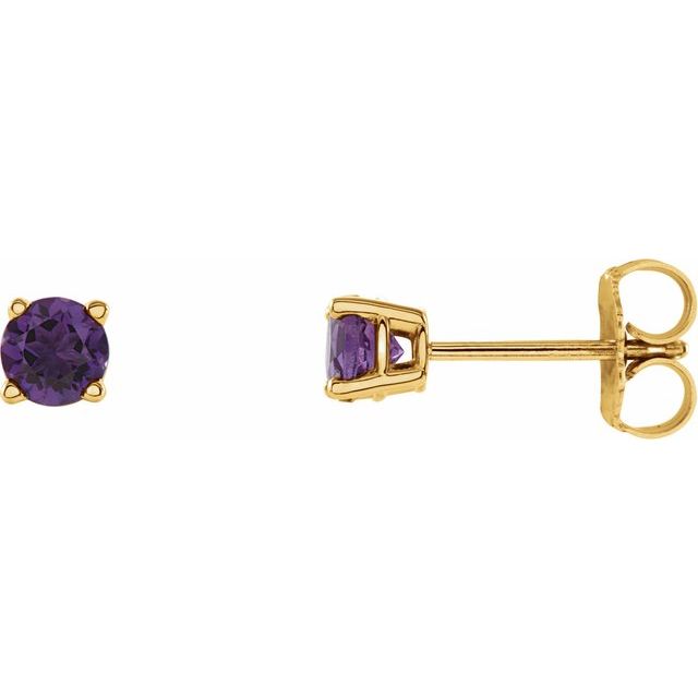 14K Yellow Gold 4 mm Natural Amethyst Earrings